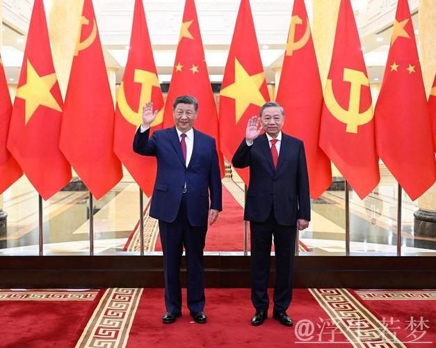 习近平同越共中央总书记苏林举行会谈 习近平同越共中央总书记苏林举行会谈